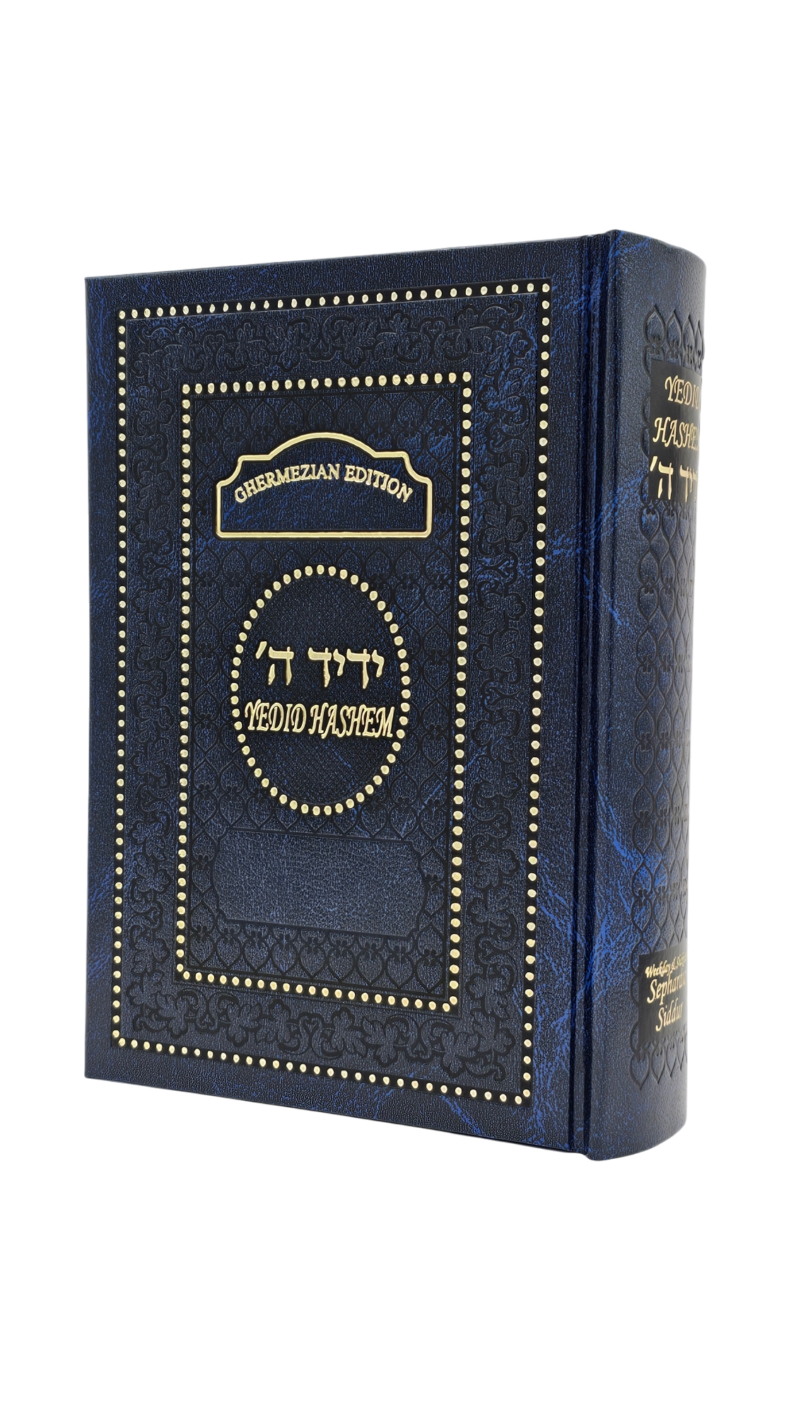 Vagina haqida porno video