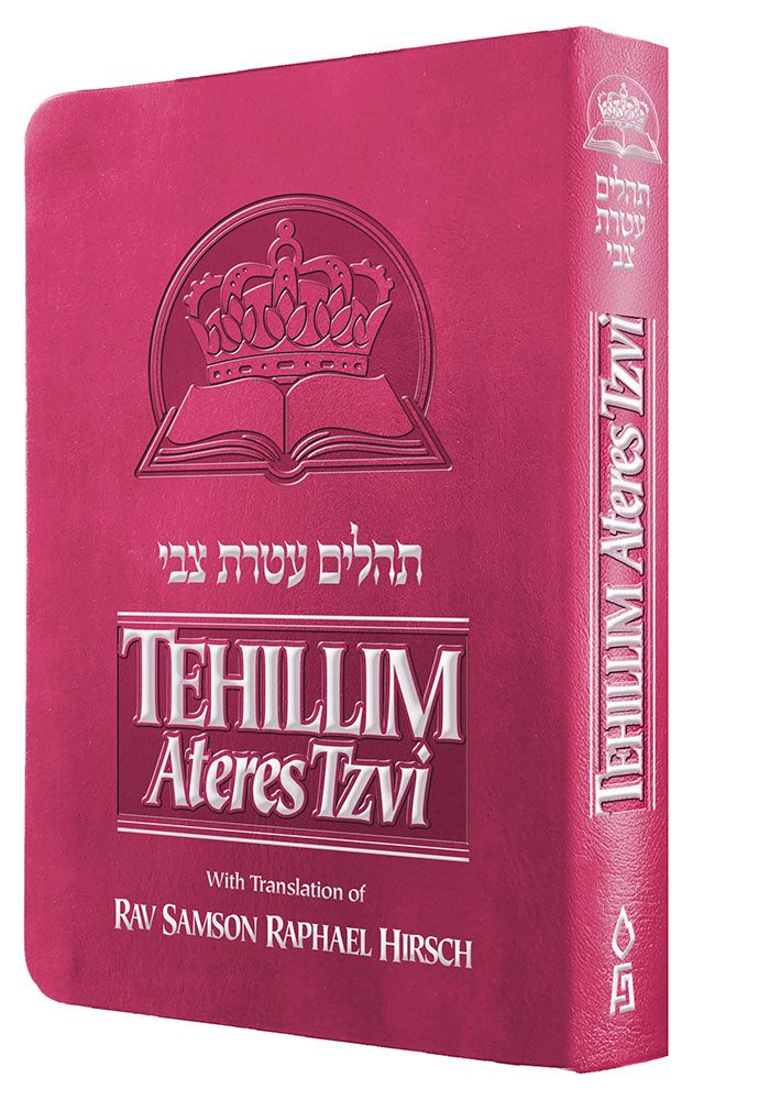 Tehillim Ateres Tzvi (Rav Hirsch) - Image 3